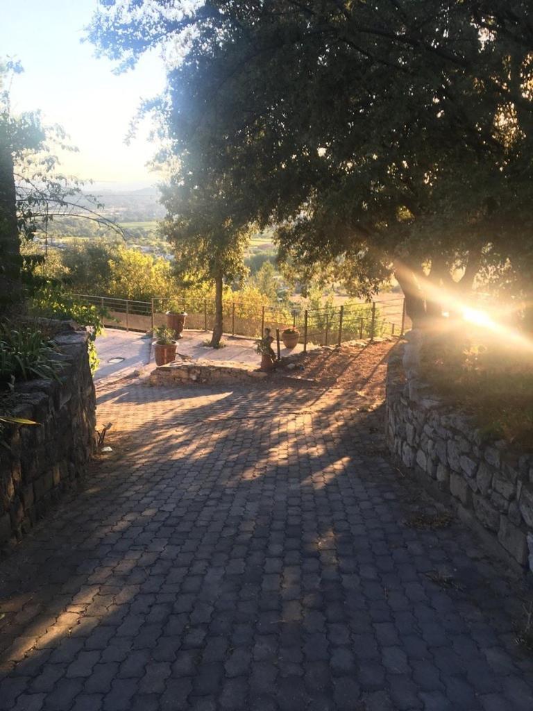 Le Castellas - Gite En Pleine Nature Montmirat Extérieur photo