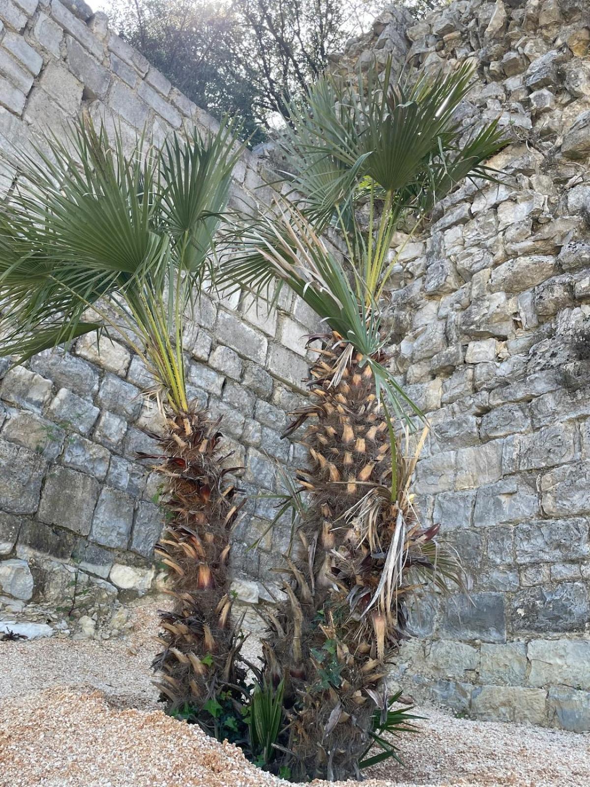 Le Castellas - Gite En Pleine Nature Montmirat Extérieur photo